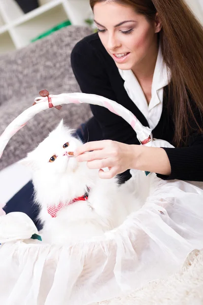 Young girl feeding a white Persian cat with salty sticks