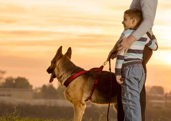 Dad and son and German shepherd in nature watching the sunset
