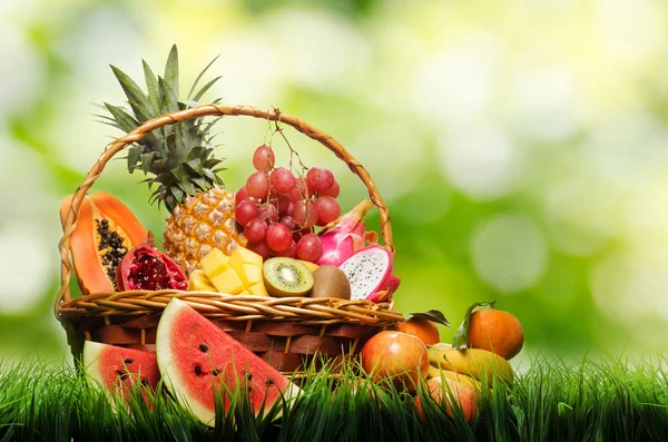 Basket of tropical fruits on green grass