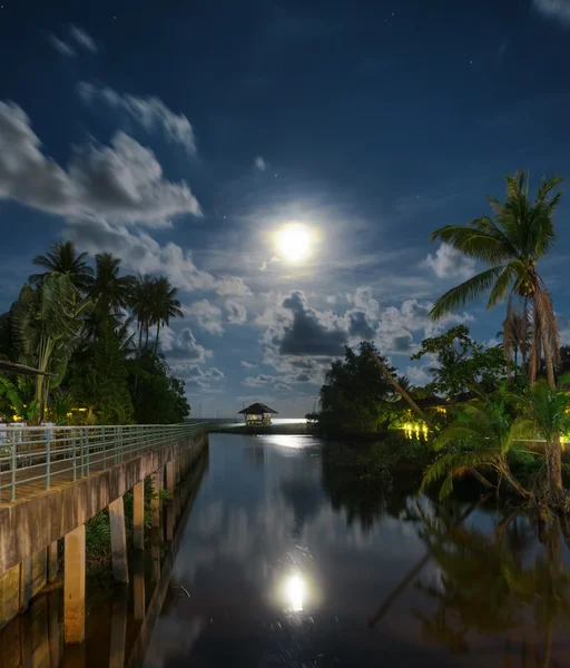 Gazebo and moon in water\'s reflection. Night landscape