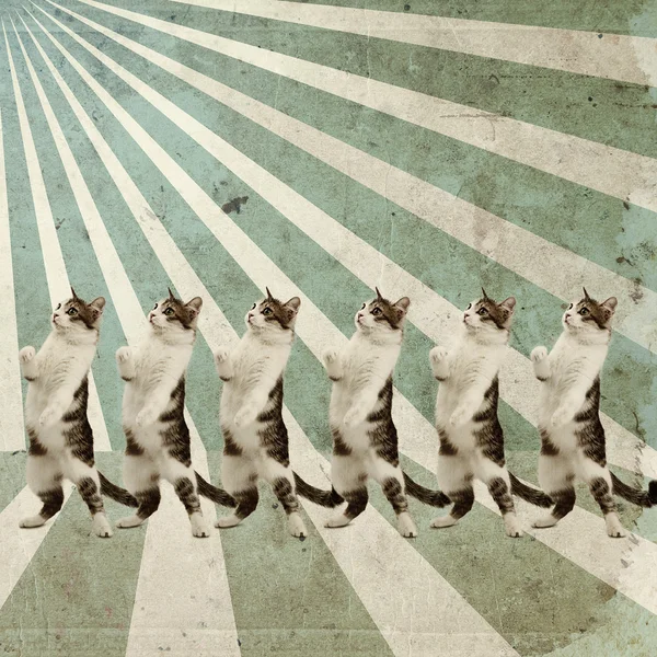Dancing cats retro poster