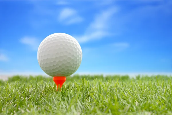 Golf ball plastic tee with blur blue sky.