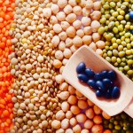Почему все семена разные Почему все семена разные