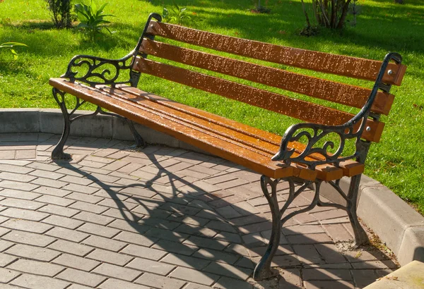 Wet park bench