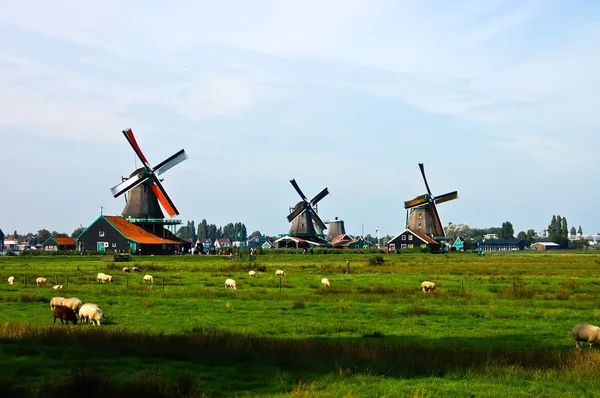 Dutch windmills of The Netherlands