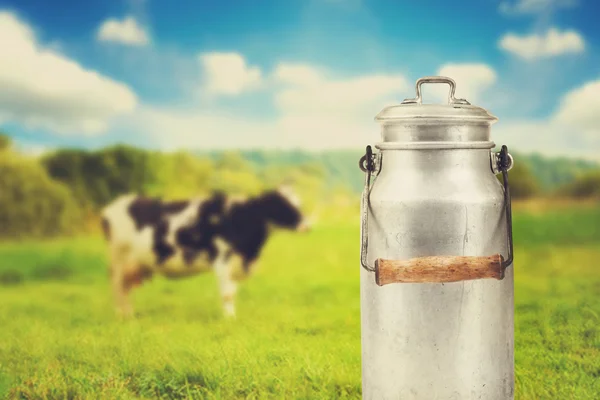 Old aluminum milk can against cow pasture meadow