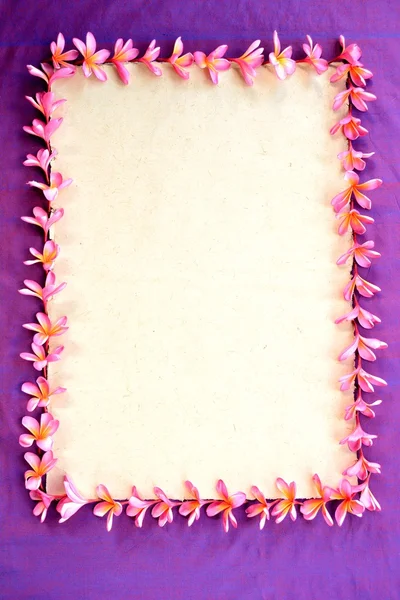 Frame of pink plumeria.on purple background