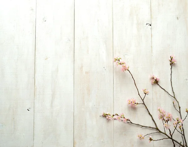 Pink cherry blossoms on white wooden background