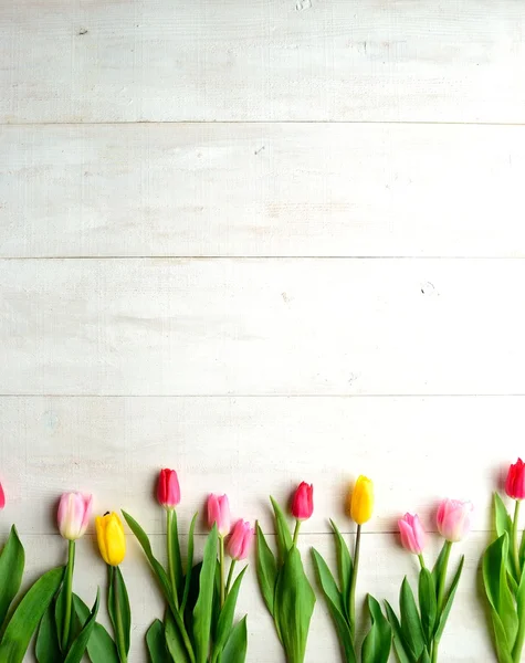 Colorful tulips on white wooden background