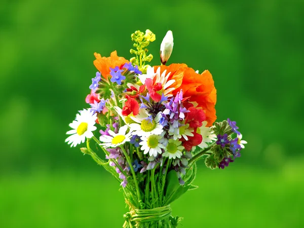 Bright colorful bouquet of garden and wild natural flowers