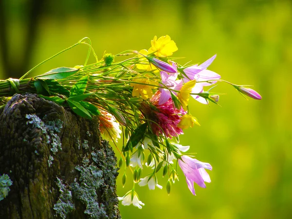 Bright colorful bouquet of garden and wild natural flowers