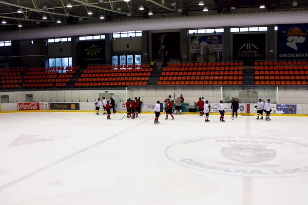 The Switzerland ice hockey team on ice of at practice