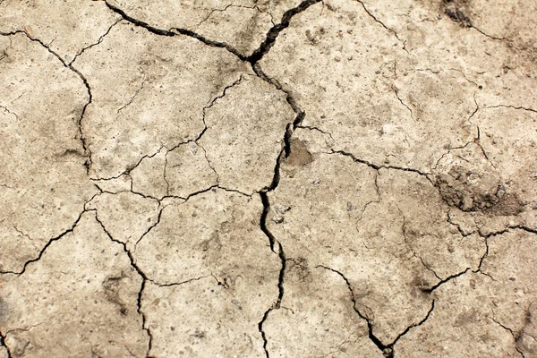 Cracked earth. Global warming - parched earth