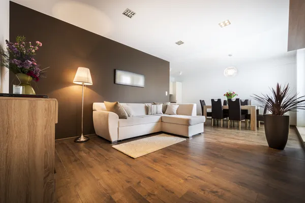 Modern living room with kitchen