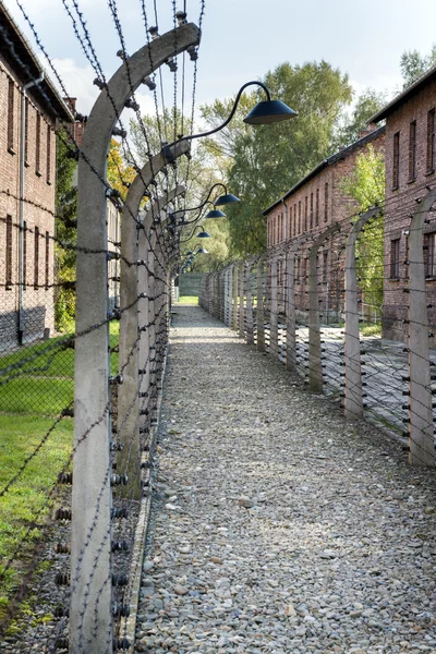 Corridor of electrified barbed-wire fences in Auschwitz II-Birkenau extermination camp