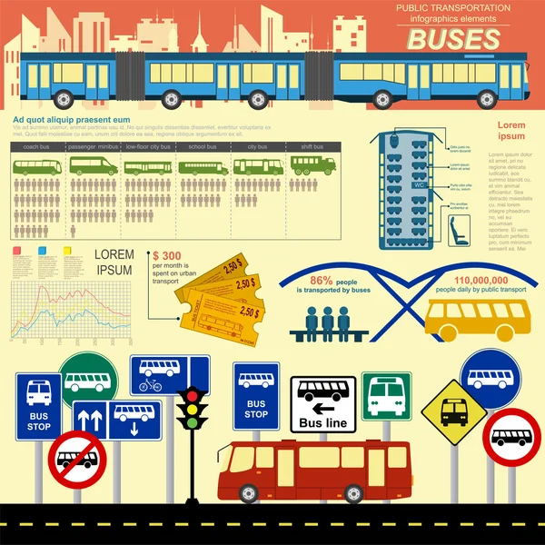 Public transportation ingographics. Buses