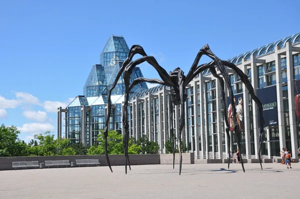 Spider sculpture in front the National Gallery of Canada