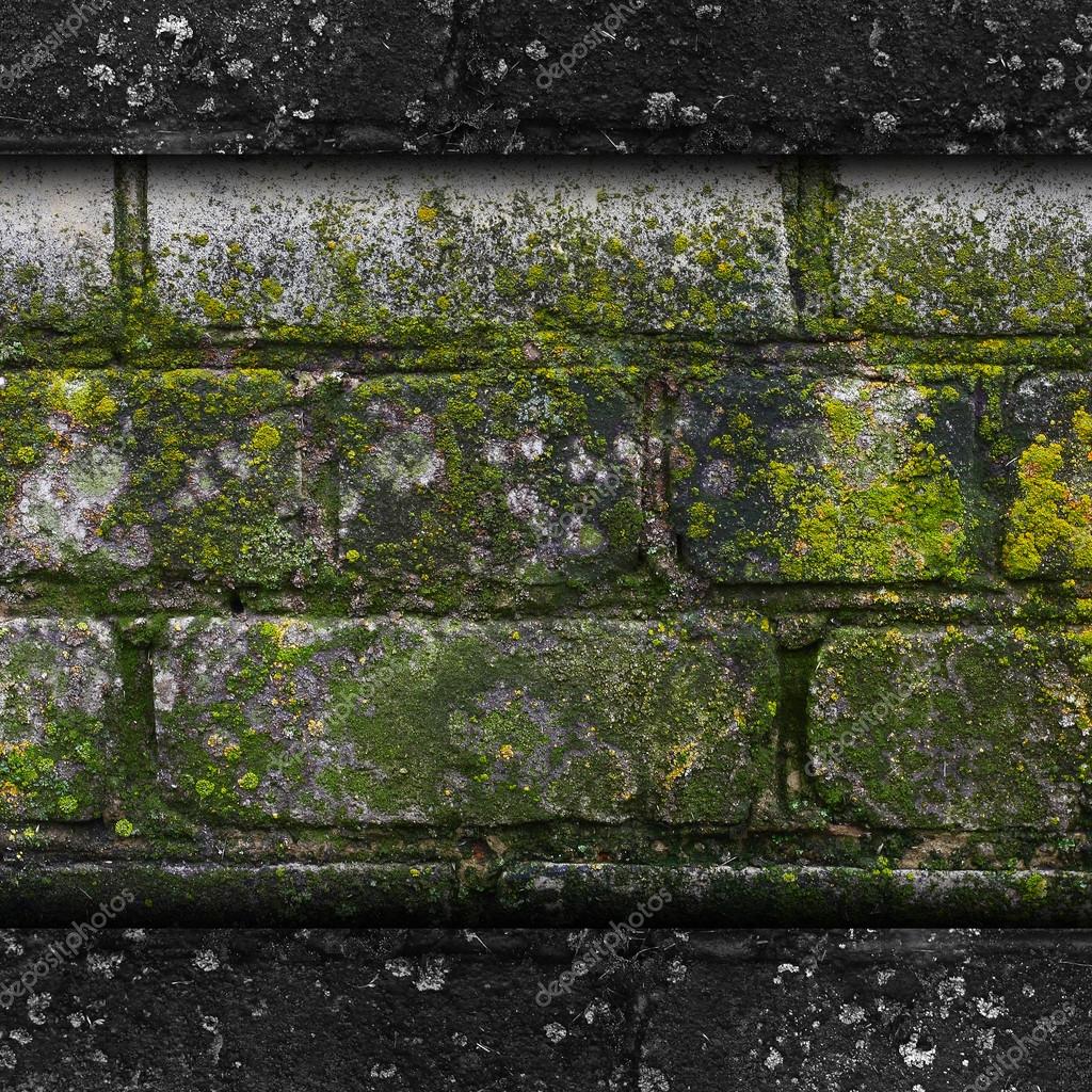 Moos alte grüne wand stein muster schimmel graue textur ...