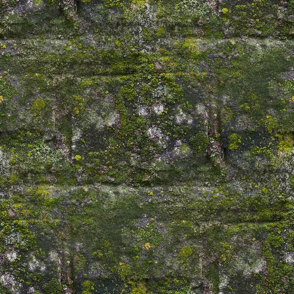 Seamless moss old green wall stone pattern mold gray texture bac