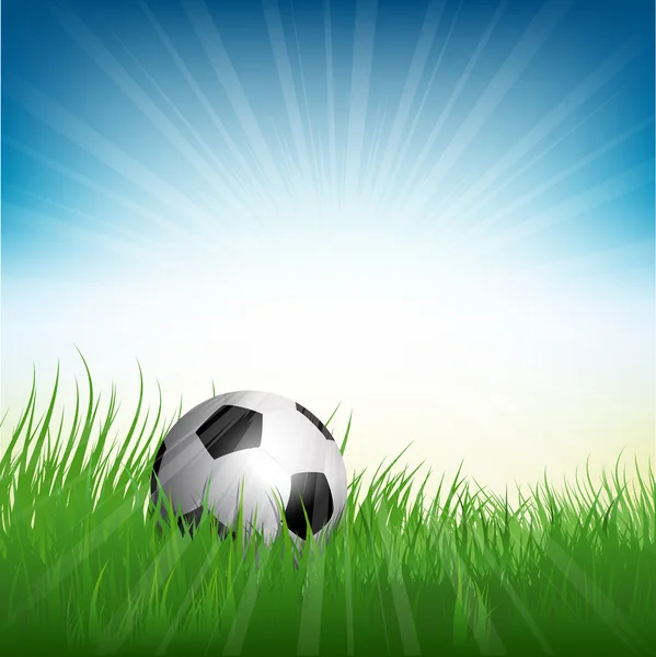 Football or soccer ball nestled in grass