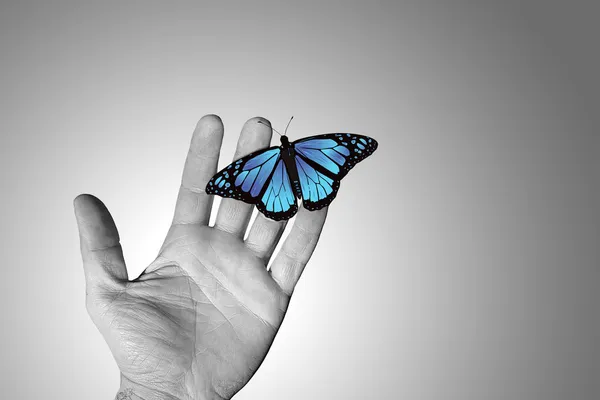 Wrinkled hand with butterfly