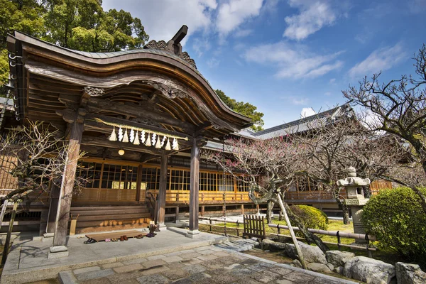 Japanese Shrine Building — Stock Photo #39517467