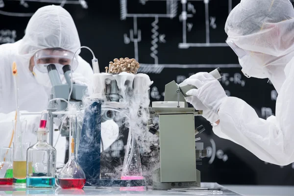 Laboratory scientists working with microscopes