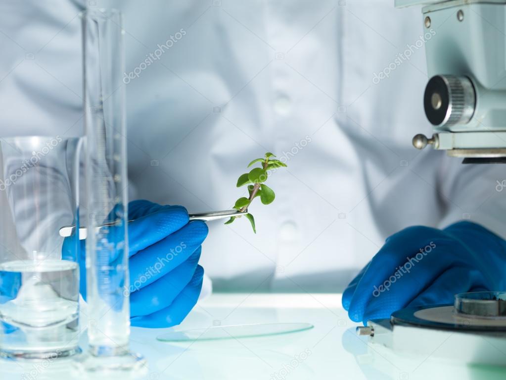 food biotechnology research papers This paper presents a critical review of literature related to food biotechnology. food biotechnology research papers This paper presents a critical review of literature related to food biotechnology.