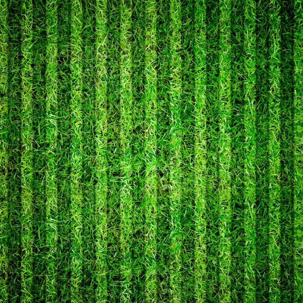 Grass