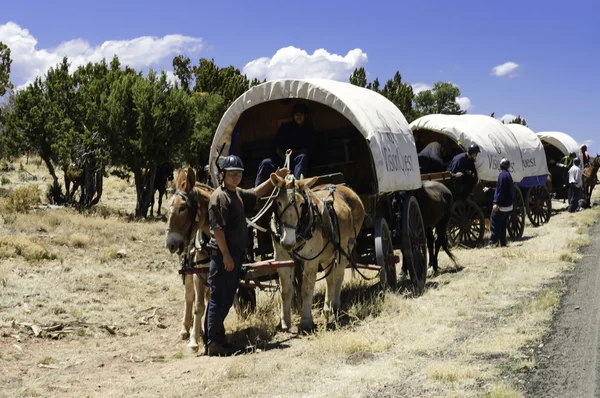 Teenagers traveling on covered wagons