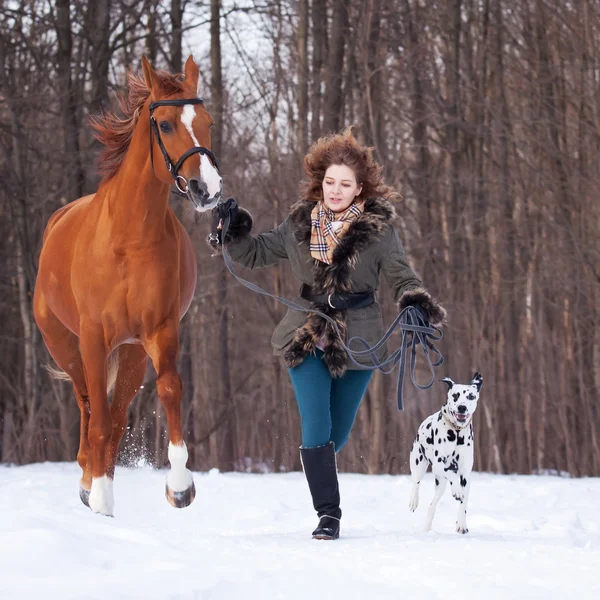 Girl with dog and horse