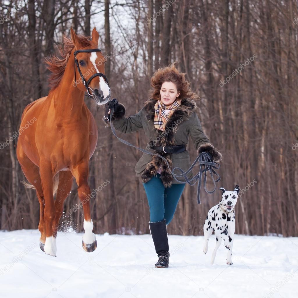 Partnersuche mit hund und pferd