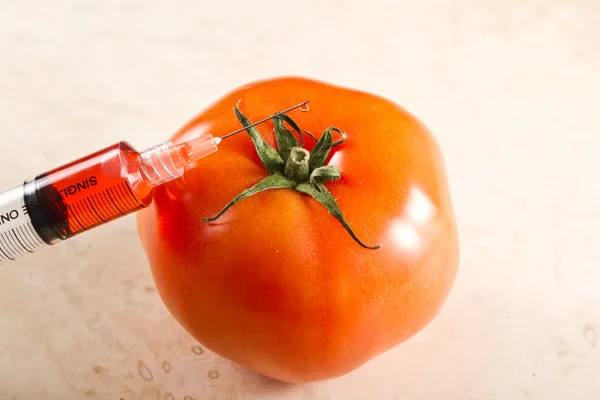 Genetically modified tomato, gmo