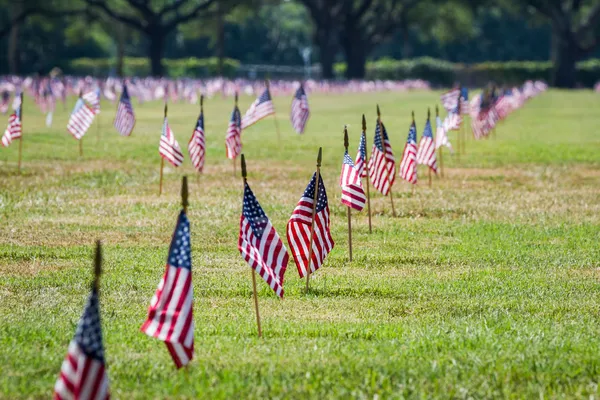 Us flags in a veterans cemetery on Veterans day