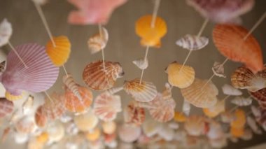 对象组图库视频影像、免版税对象组视频片段