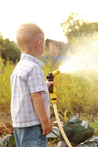 Little blond boy watering the lawn