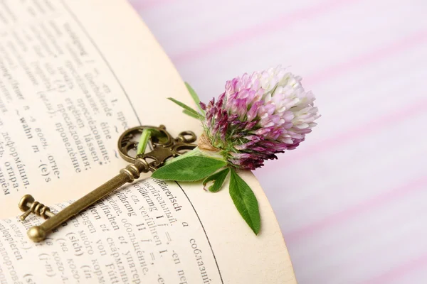 Antique key with flower lies on the book