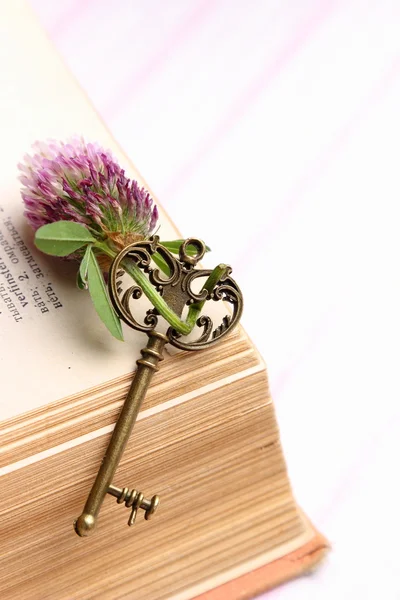 Antique key with flower lies on the book