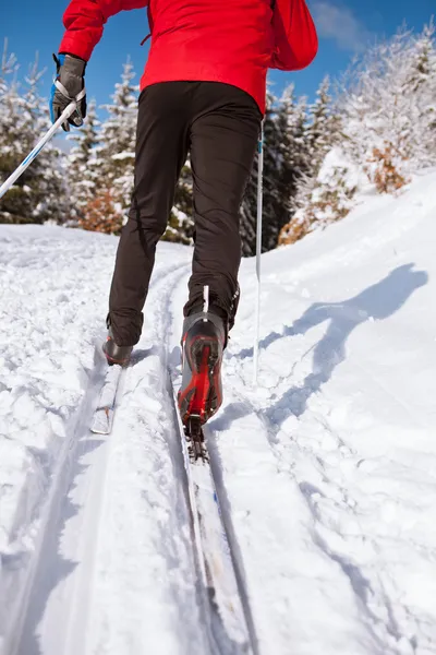 Cross-country skiing: young man cross-country skiing on a lovely