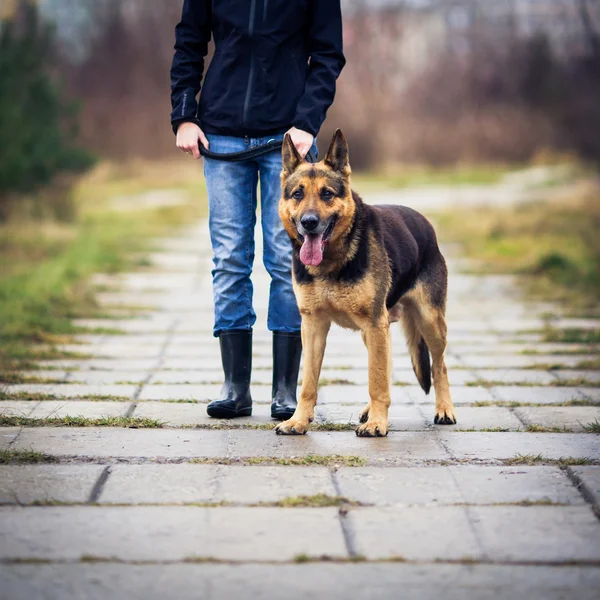 Master and her obedient German shepherd dog