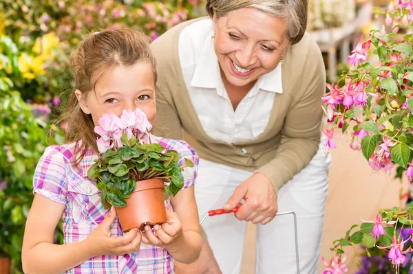 Garden shop child with grandmother smell cyclamen