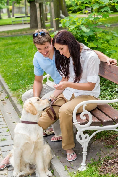 Young couple training dog in the park