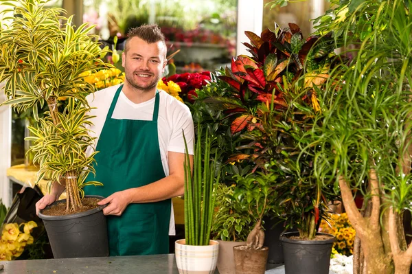 Male shop assistant potted plant flower working
