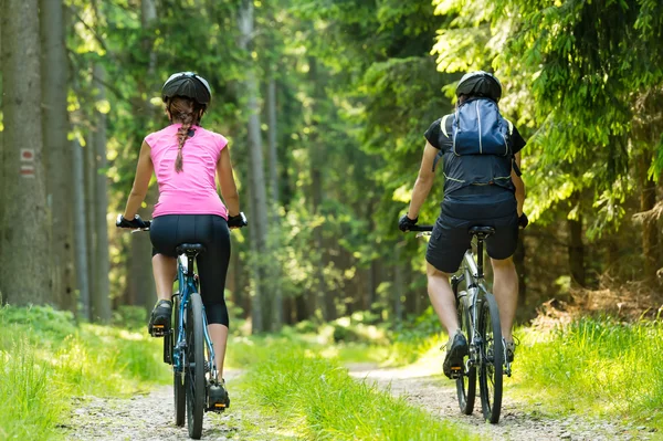 Bikers in forest cycling on track