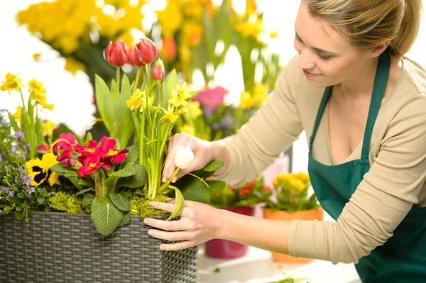 Florist arrange spring flowers colorful