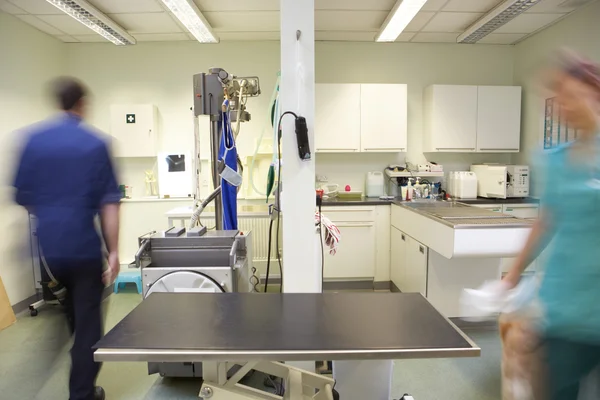 Male Veterinary Surgeon And Nurse Preparing Surgery