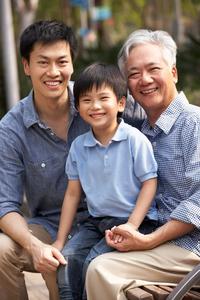 Male Multi Genenration Chinese Family Group Sitting On Bench In