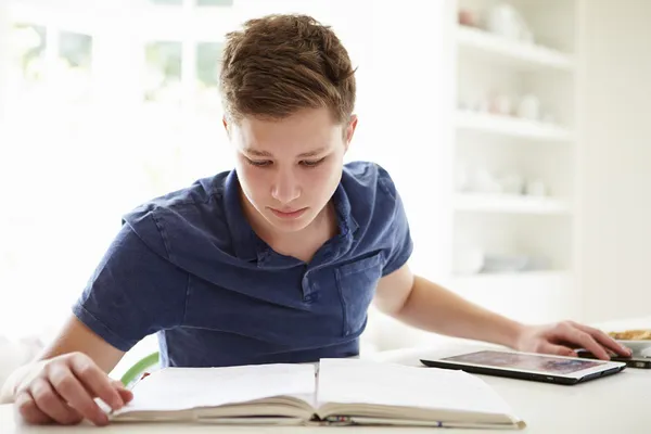 Teenage Boy Studying