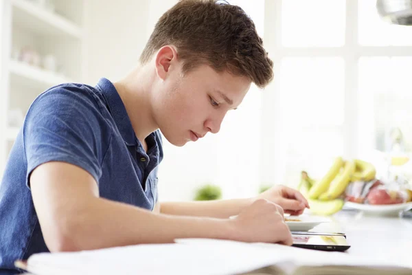 Teenage Boy Studying