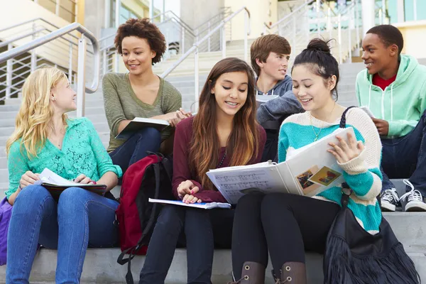 Group Of High School Students